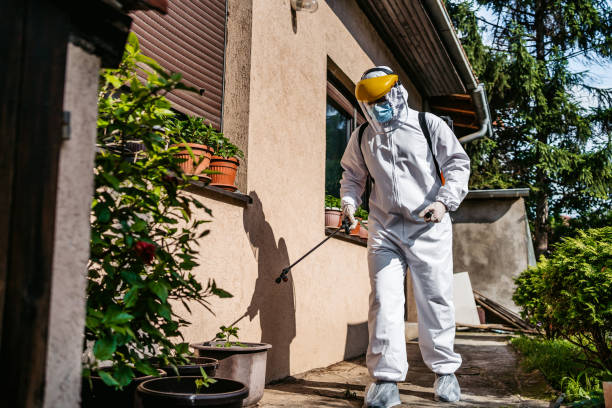 Best Best Pest Control Companies  in Welch, WV