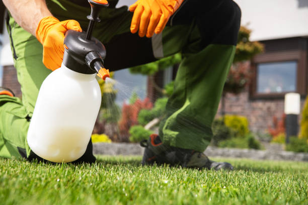 Pest Prevention Services in Welch, WV