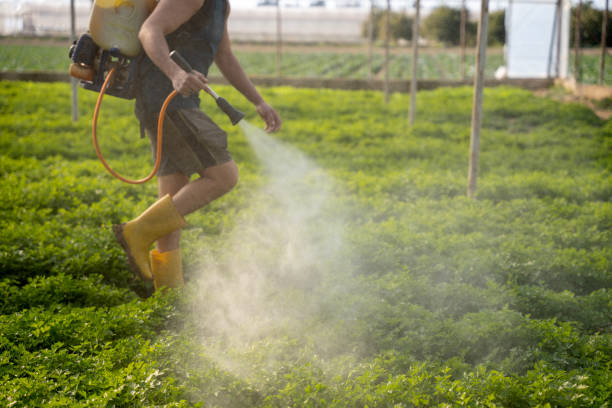 Best Exterminator Services  in Welch, WV