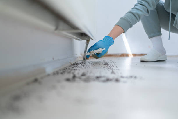 Welch, WV Pest Control Company